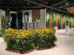 -荷兰布尔玛国际花艺学院