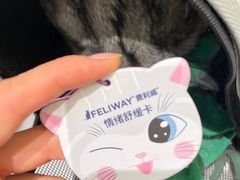 -美联众合爱康动物医院•复杂内科•肿瘤科•牙科•腔镜诊疗中心