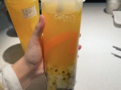 -CoCo都可(秀英万达店)