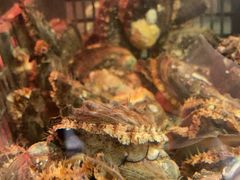 -臻鲜燕海鲜融合餐厅(金陵style店)