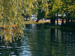 -上海共青森林公园