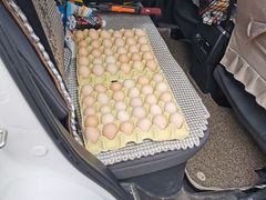 -中南财经政法大学(首义校区)