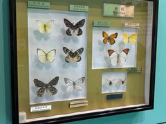 -上海昆虫博物馆