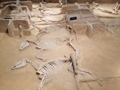 -洛阳周王城天子驾六博物馆