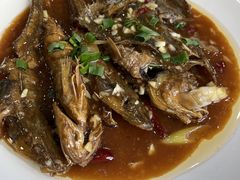 -杨记小骨头羊杂馆(南五马路店)