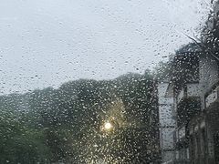 -廖哥泡椒兔(峨眉店)