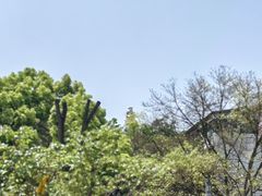 -南山植物园