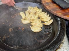 -金春锅贴(北京西路店)