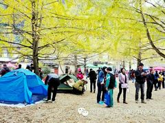 -南雄冯屋银杏山庄