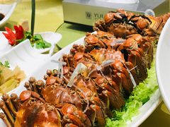 -裕龙汤泉