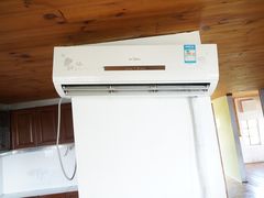 -金山农民画村-枫泾波兰倒置屋