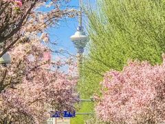 -天津五大道文化旅游区