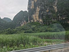 -明仕田园