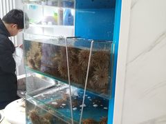 水产区-海胆小馆(东北水饺·春柳店)