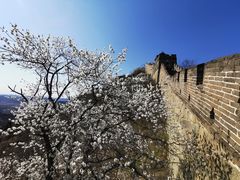 -慕田峪长城