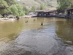 -新疆天山野生动物园