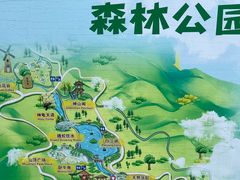 -广州白江湖森林公园