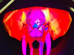 -疯克大象美式烤肉餐厅