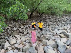 -宝安西湾红树林湿地公园