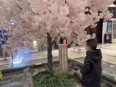 -添赐温泉馆(上南路店)