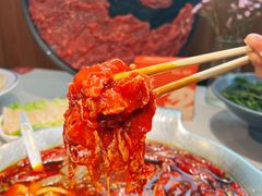 -渝大龙重庆火锅(温泉月亮湾店)