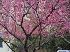 -西安市纺织公园