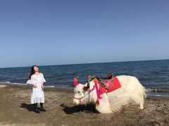 -青海湖国家重点风景名胜区