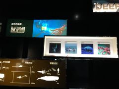 -同济大学四平路校区深海探索馆