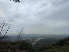 -长沙黑麋峰国家森林公园