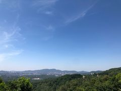 -火炉山森林公园