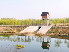 -东郊湿地公园
