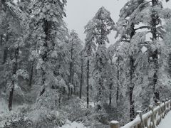 -瓦屋山景区