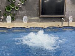 -大自然会所(阳光店)