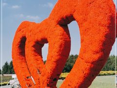 -北纬44度·金珠花海休闲农业旅游景区