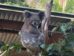 -费瑟代尔野生动物园