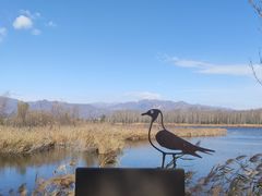 -野鸭湖国家湿地公园