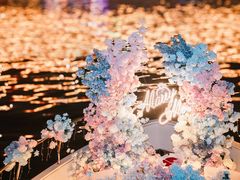 -InParty·游艇求婚策划生日派对布置(世纪大道店)