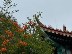 -神光山国家森林公园