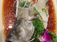 -东北大院·东北菜(三台子店)
