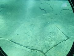 -白鹤梁水下博物馆