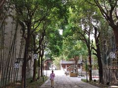 -龙潭水乡