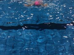 -齐汇维景大酒店游泳馆(山东政协大厦齐汇维景)