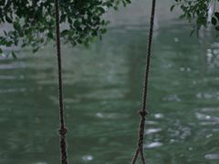 -厦门园林博览苑