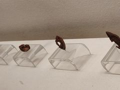 -杭州工艺美术博物馆