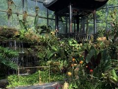-东莞植物园