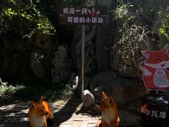 -淄博聊斋城景区