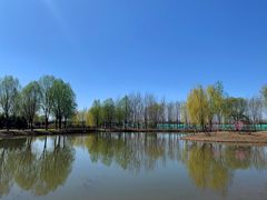 -东郊湿地公园