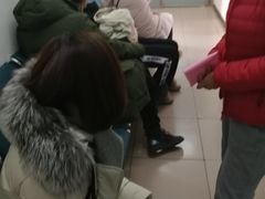 -北京观赏动物医院·24小时大型综合·猫专科·异宠专科
