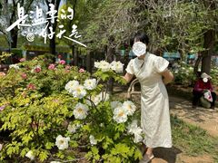 -洛阳市隋唐城遗址植物园