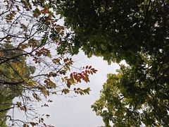 -火炉山森林公园